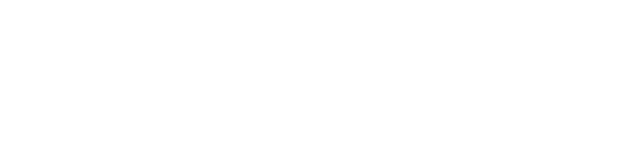 SaldoPro